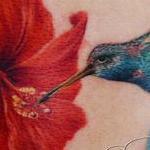 Tattoos - hummingbird with hibisus - 108228